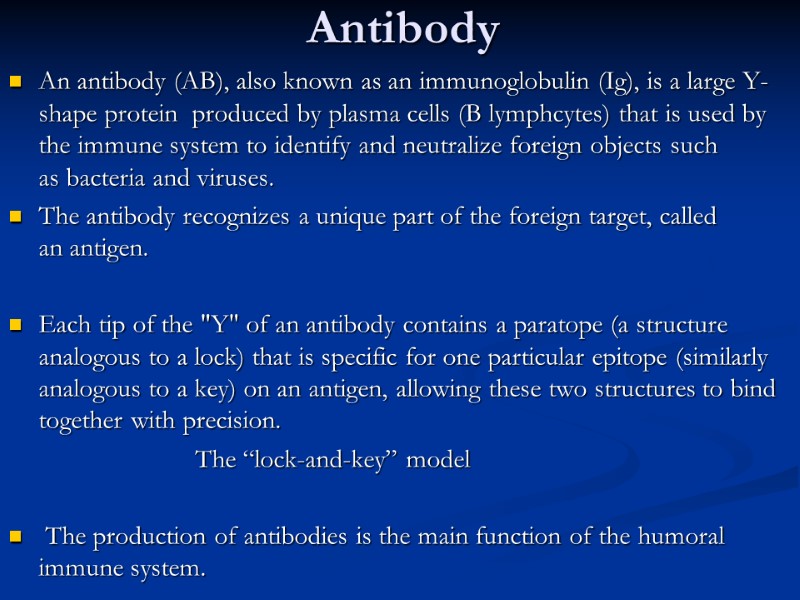 Antibody An antibody (AB), also known as an immunoglobulin (Ig), is a large Y-shape